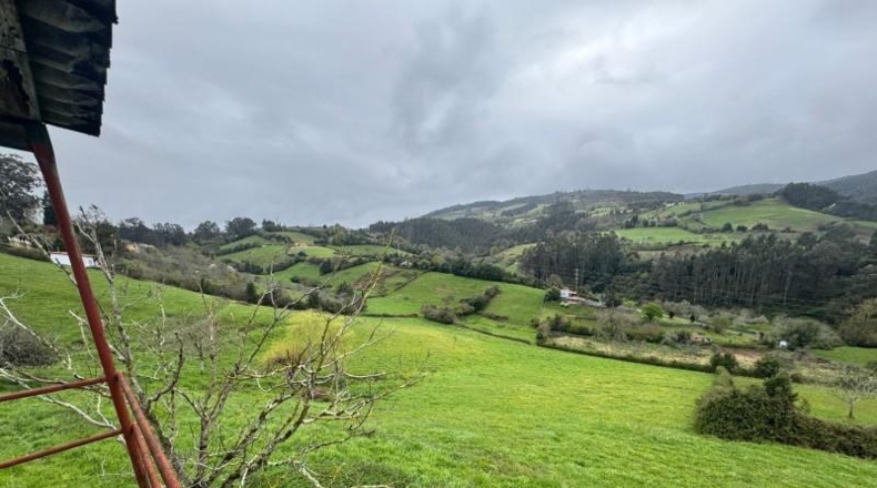 Asturias - Villaviciosa - 20487m2