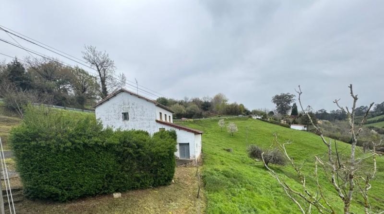 Asturias - Villaviciosa - 20487m2