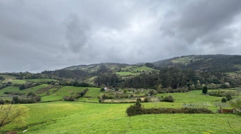 Asturias - Villaviciosa - 20487m2