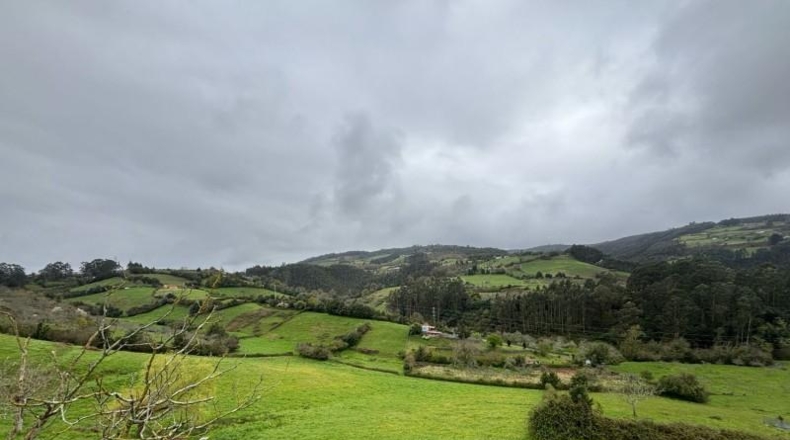 Asturias - Villaviciosa - 20487m2