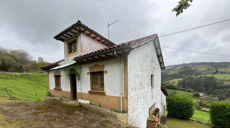 Asturias - Villaviciosa - 20487m2