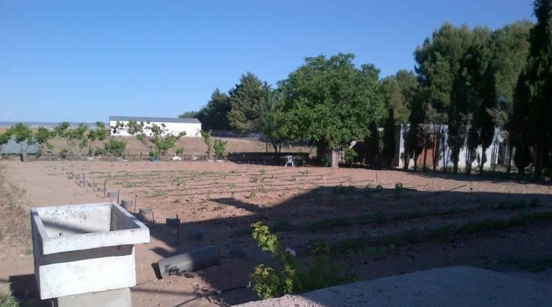 Albacete - Albacete - 5000m2