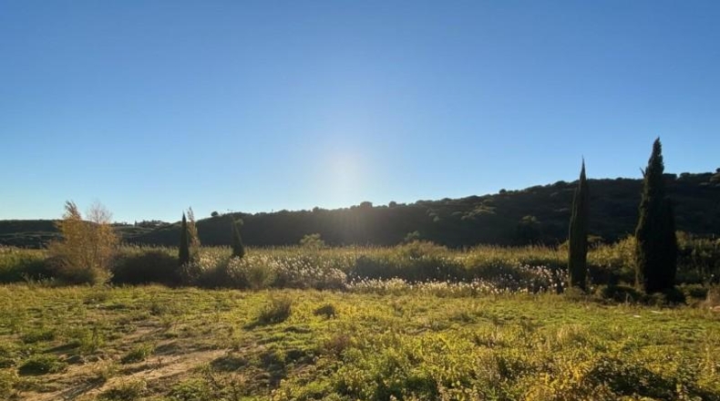 Málaga - Casares - 963m2