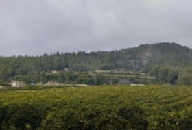 l'Atzúbia 94120&nbsp;m² 