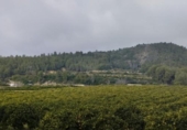 Terreny amb magatzem en venda a la España, l'Atzúbia, ref.: TR401781 foto