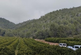 l'Atzúbia 94120&nbsp;m² 