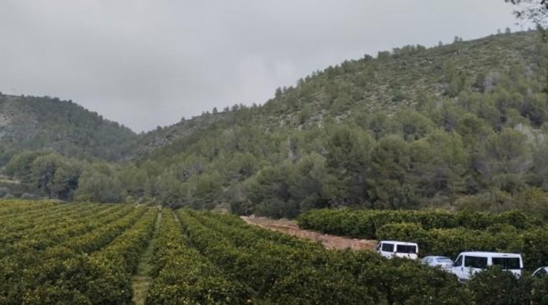 Alicante - Adsubia - 94120m2