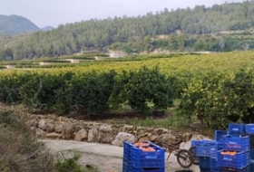 l'Atzúbia 94120&nbsp;m² 