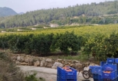 Terreny amb magatzem en venda a la España, l'Atzúbia, ref.: TR401781 foto