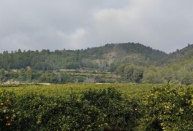 l'Atzúbia 94120&nbsp;m² 