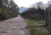 Terreny amb magatzem en venda a la España, l'Atzúbia, ref.: TR401781 foto
