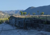 Terreny amb magatzem en venda a la España, l'Atzúbia, ref.: TR401781 foto