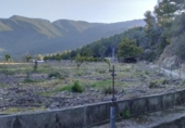 Terreny amb magatzem en venda a la España, l'Atzúbia, ref.: TR401781 foto