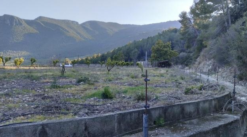Alicante - Adsubia - 94120m2