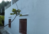 Terreny amb magatzem en venda a la España, l'Atzúbia, ref.: TR401781 foto
