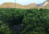 Terreny amb magatzem en venda a la España, l'Atzúbia, ref.: TR401781 foto