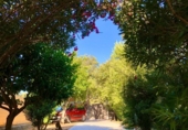 Земельный участок на продажу в городе Chiclana de la Frontera Фото