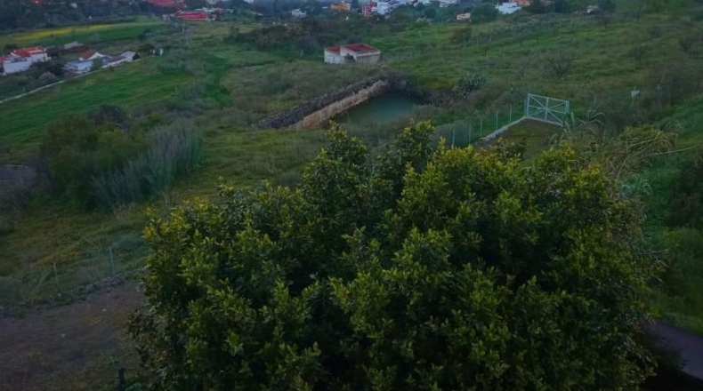 Las Palmas - Santa Brígida - 900m2
