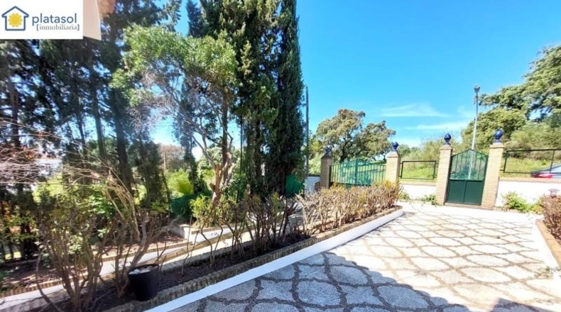 Sevilla - Guillena - 1686m2