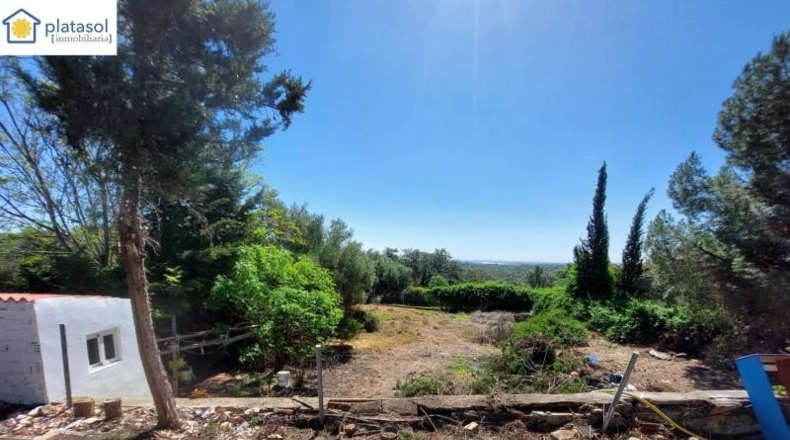 Sevilla - Guillena - 1686m2