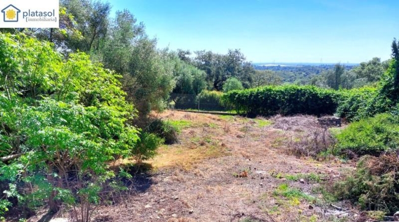 Sevilla - Guillena - 1686m2