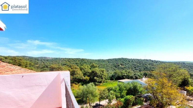 Sevilla - Guillena - 1686m2