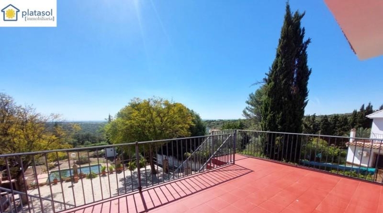 Sevilla - Guillena - 1686m2