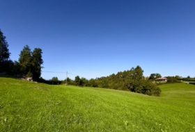 Larteme 2821&nbsp;м²