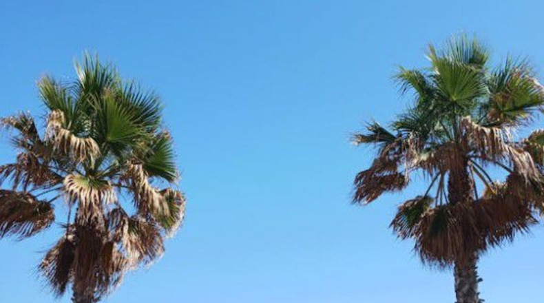 Malaga - Fuengirola - 652m2