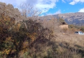Rural estate for sale in Aínsa ref: TR397189 photo
