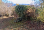 Rural estate for sale in Aínsa ref: TR397189 photo