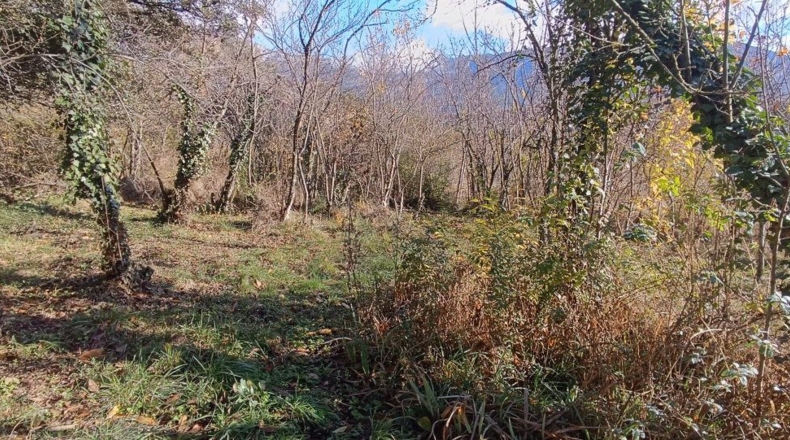 Huesca - Aínsa - 3500m2