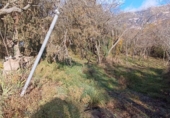 Rural estate for sale in Aínsa ref: TR397189 photo