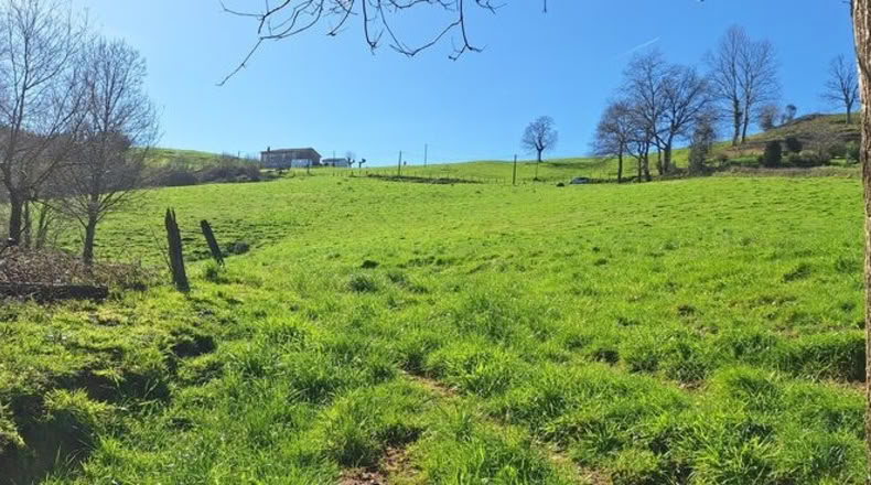 Cantàbria - Entrambasaguas - 20000m2