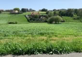 Sòl urbà en venda a la Barrio Las Hazas, San Mamés de Meruelo, ref.: TR396885 foto
