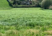 Sòl urbà en venda a la Barrio Las Hazas, San Mamés de Meruelo, ref.: TR396885 foto
