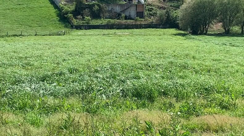 Cantabria - San Mamés de Meruelo - 4505m2