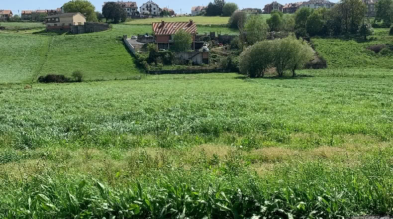 Cantabria - San Mamés de Meruelo - 4505m2