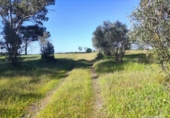 Terreno no urbanizable en venta en la España, Bollullos Par del Condado, ref: TR401923 foto