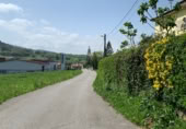 Sòl urbà en venda a la Barrio Las Hazas, San Mamés de Meruelo, ref.: TR396885 foto