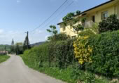 Sòl urbà en venda a la Barrio Las Hazas, San Mamés de Meruelo, ref.: TR396885 foto
