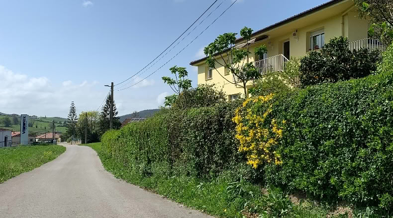 Cantabria - San Mamés de Meruelo - 4505m2
