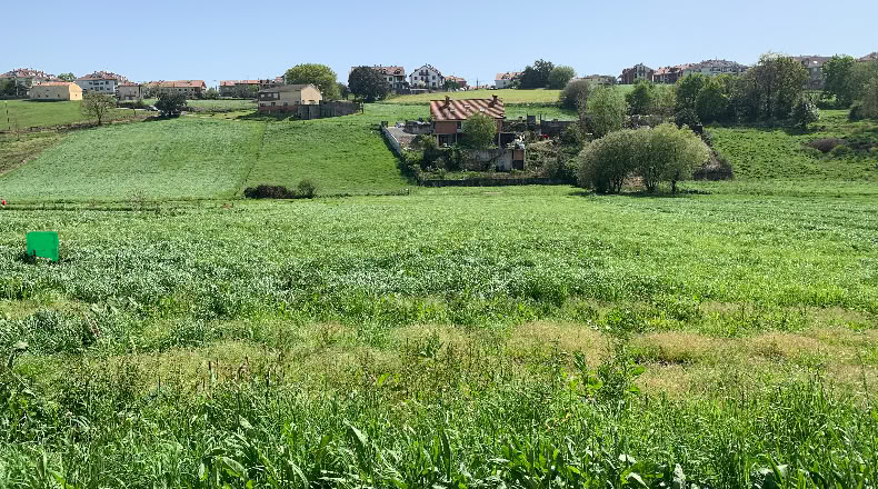 Cantabria - San Mamés de Meruelo - 4505m2