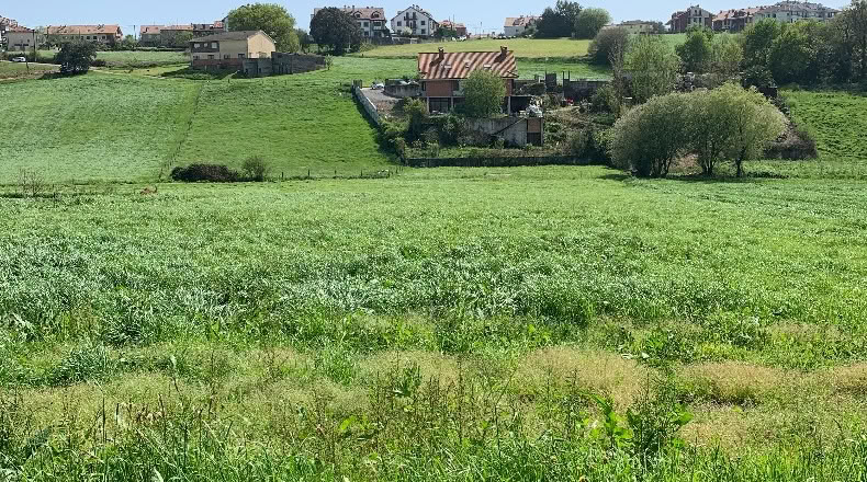 Cantabria - San Mamés de Meruelo - 4505m2