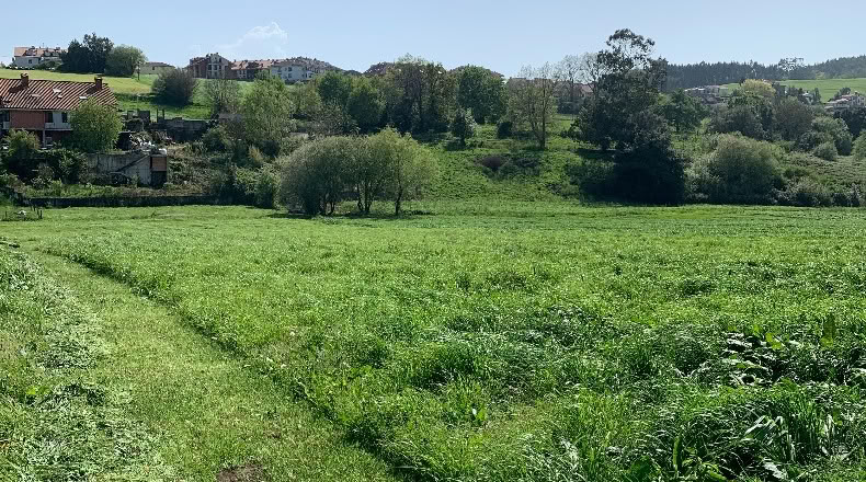 Cantabria - San Mamés de Meruelo - 4505m2