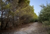 Non-developable land for rent on Calle de Valquejigoso s/n, Chinchón, ref: TR401920 photo