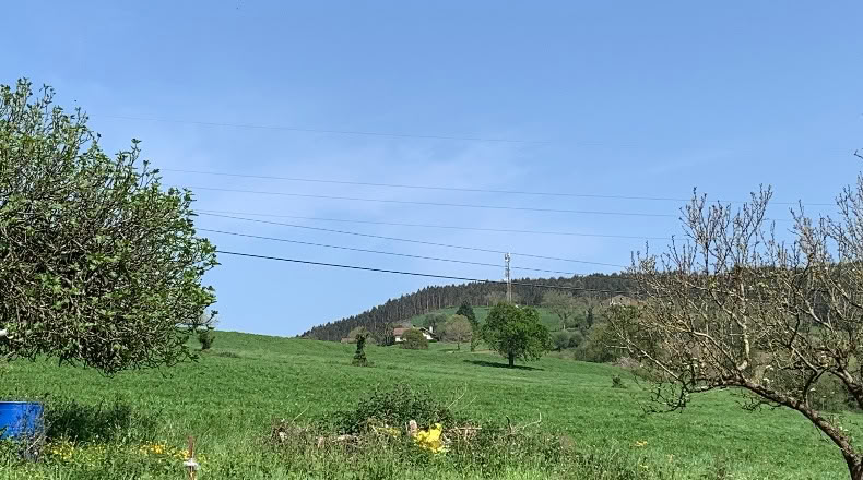 Cantabria - San Mamés de Meruelo - 4770m2