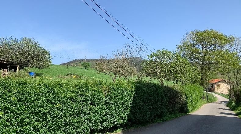Cantabria - San Mamés de Meruelo - 4770m2