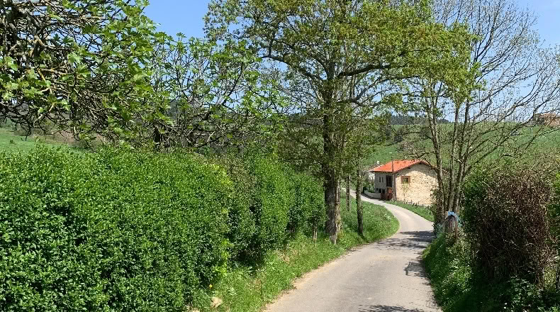Cantabria - San Mamés de Meruelo - 4770m2