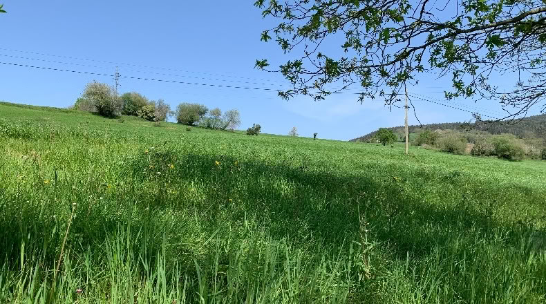 Cantabria - San Mamés de Meruelo - 4770m2